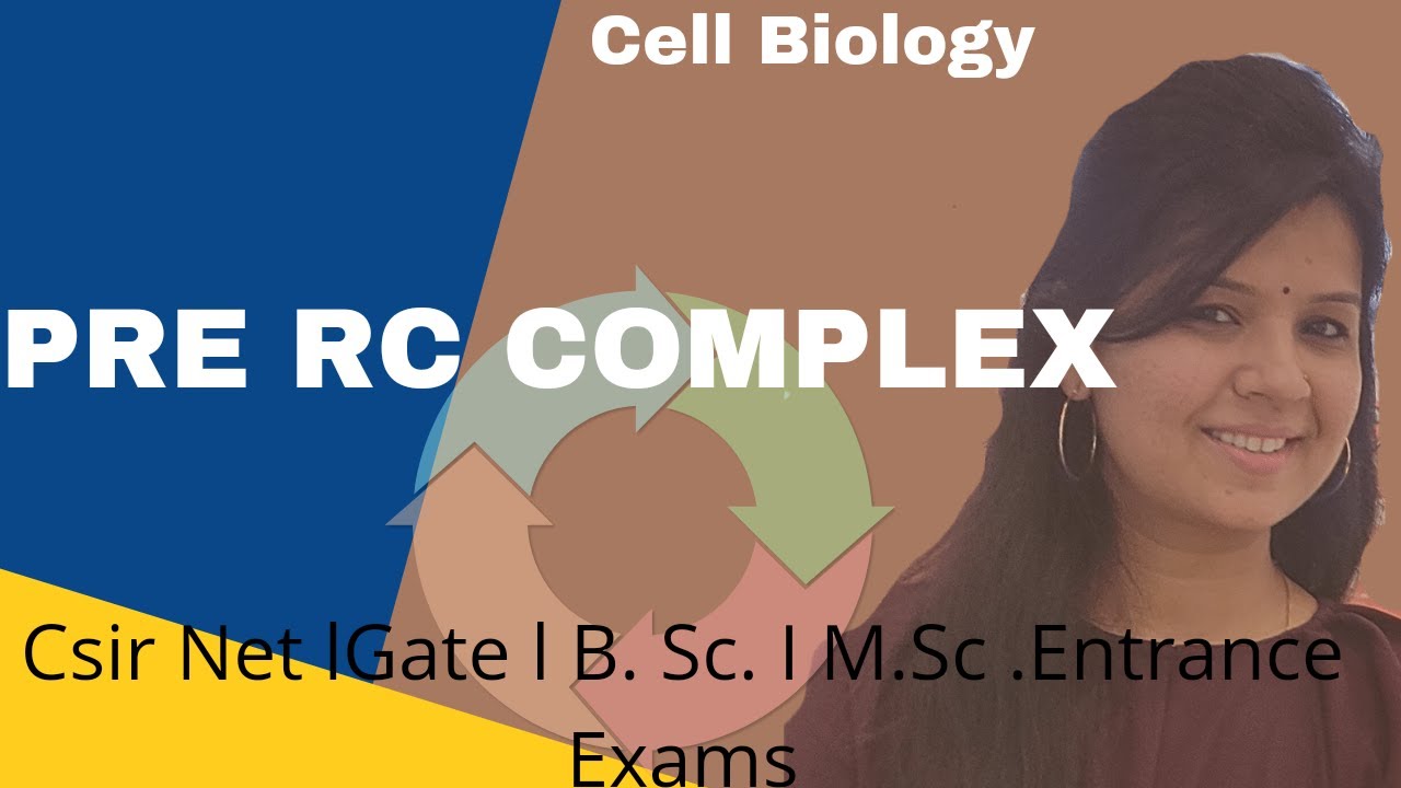 Pre RC Complex ll Regulation of DNA Replication in cell cycle #cellcycle #dnareplication #csirnet