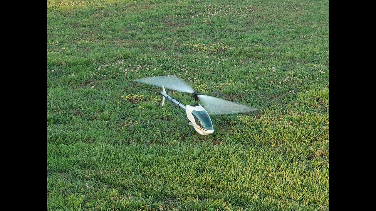 Ikarus Eco-8 2021