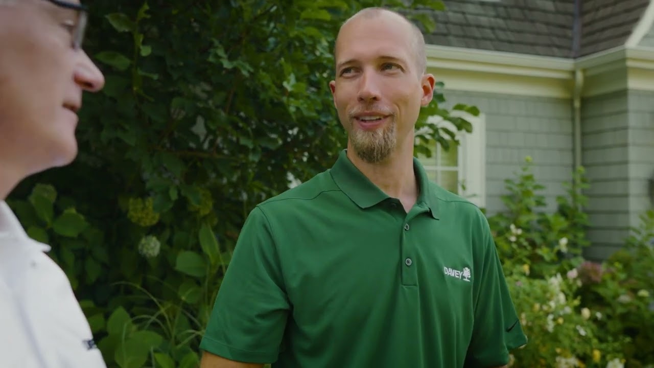 Certified Arborist Advice: Caring for Trees After Severe Weather
