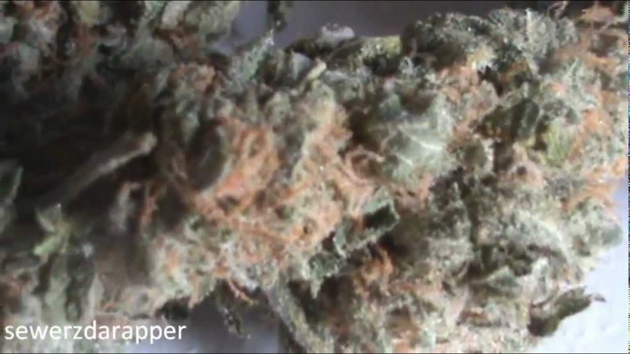 Todays Weed - Power Kush