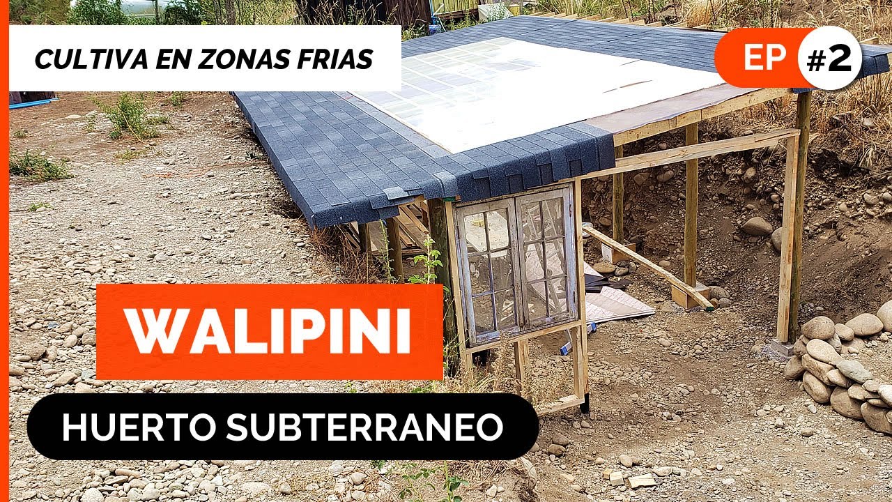 WALIPINI (Huerto Subterráneo) 🌱🥕🌽 Cultiva alimento en Zonas Frías - Episodio 2