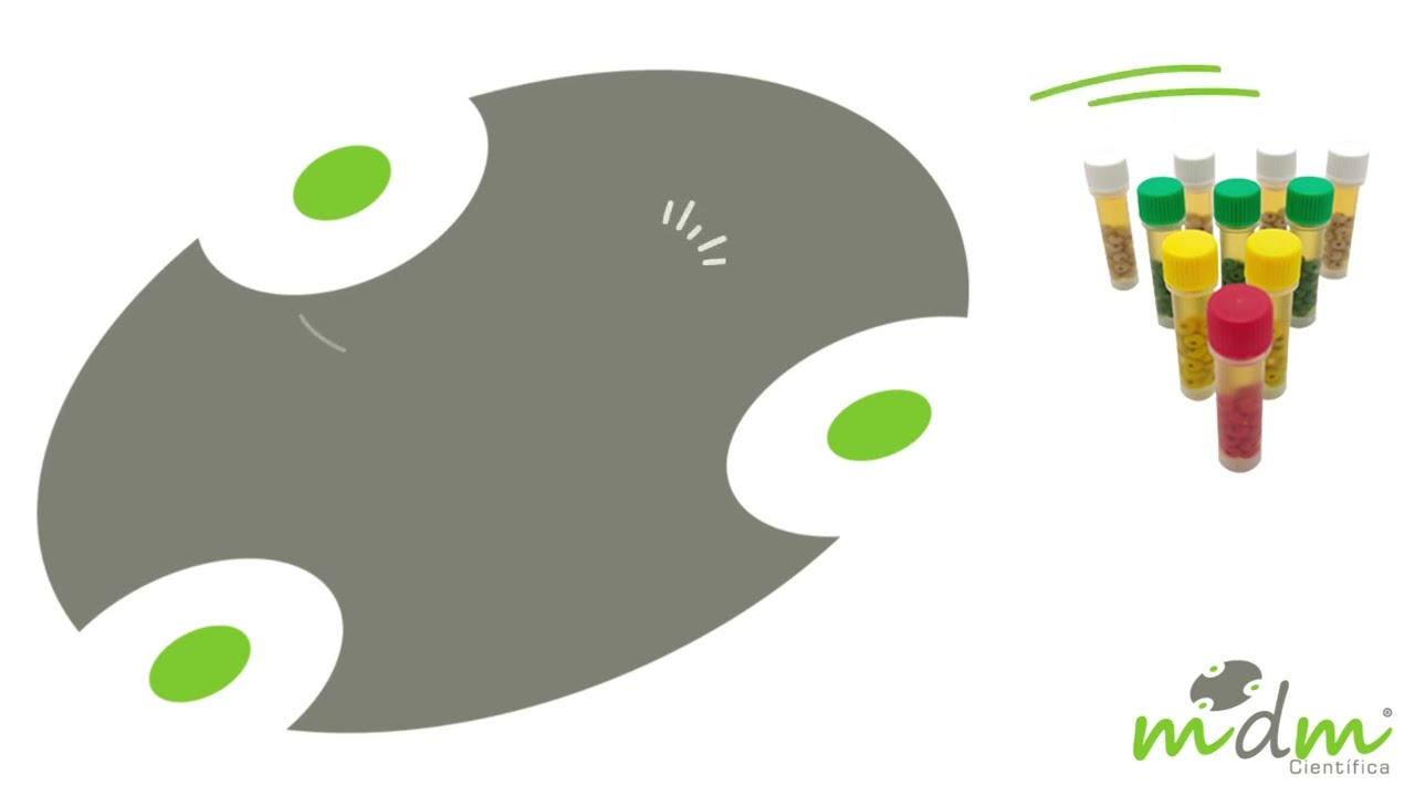 Crioconservaci&oacute;n cepas ATCC MDM Cient&iacute;fica