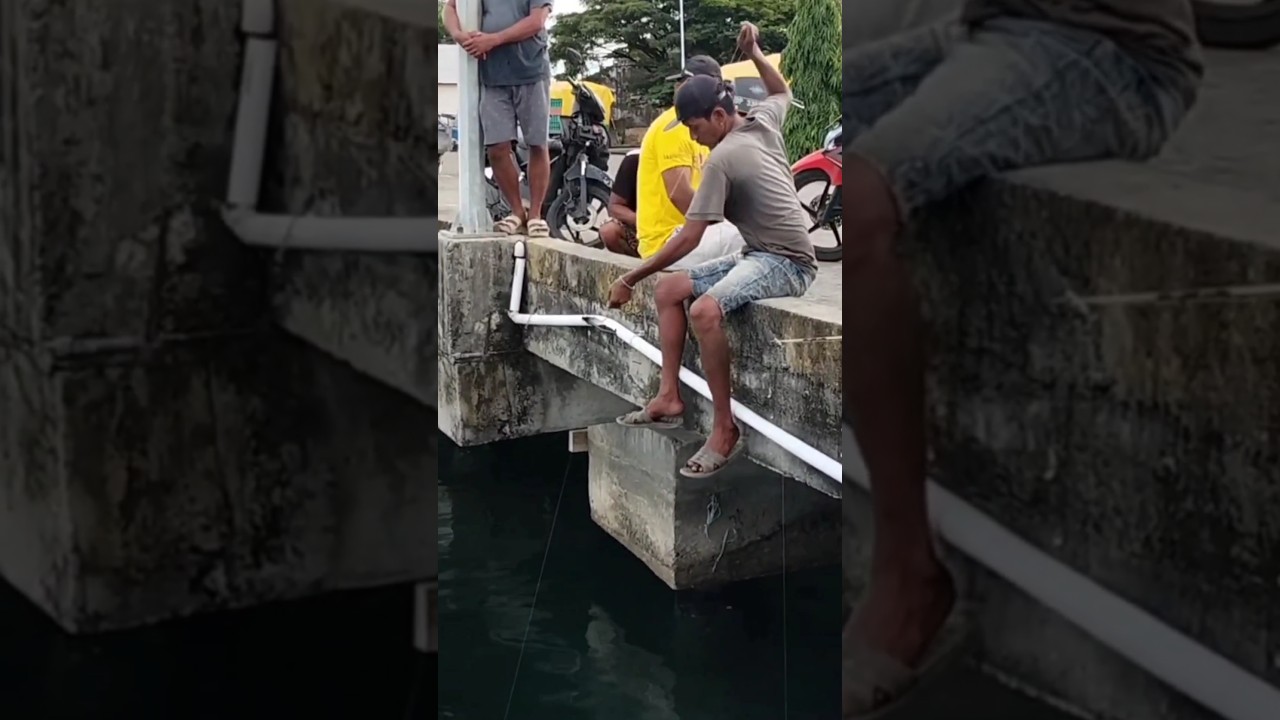 Resiko Mancing di Dermaga Kapal Yang Bikin Kesal #shorts #shortvideo #short #shortsvideo