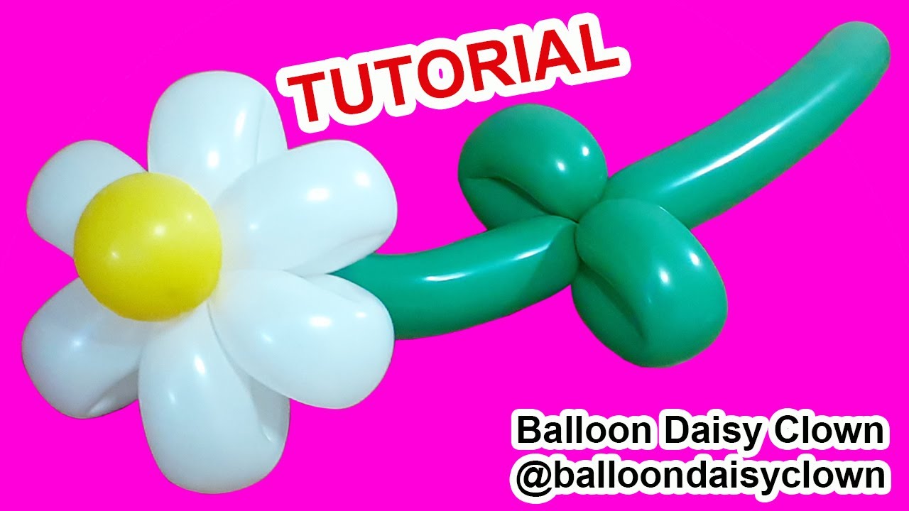 Balloon Daisy Flower - Twisting for Beginners