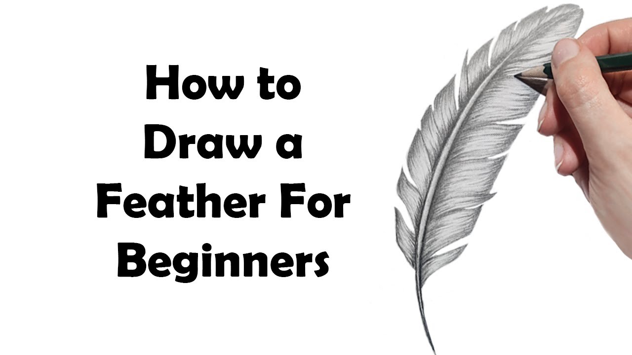 How To Draw a Realistic Feather Step By Step [FOR BEGINNERS]