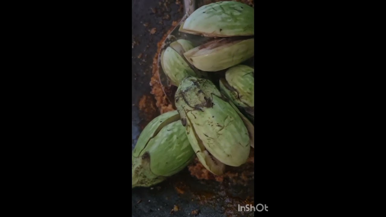 Traditional masyalache wange(baigan ki sabji)
