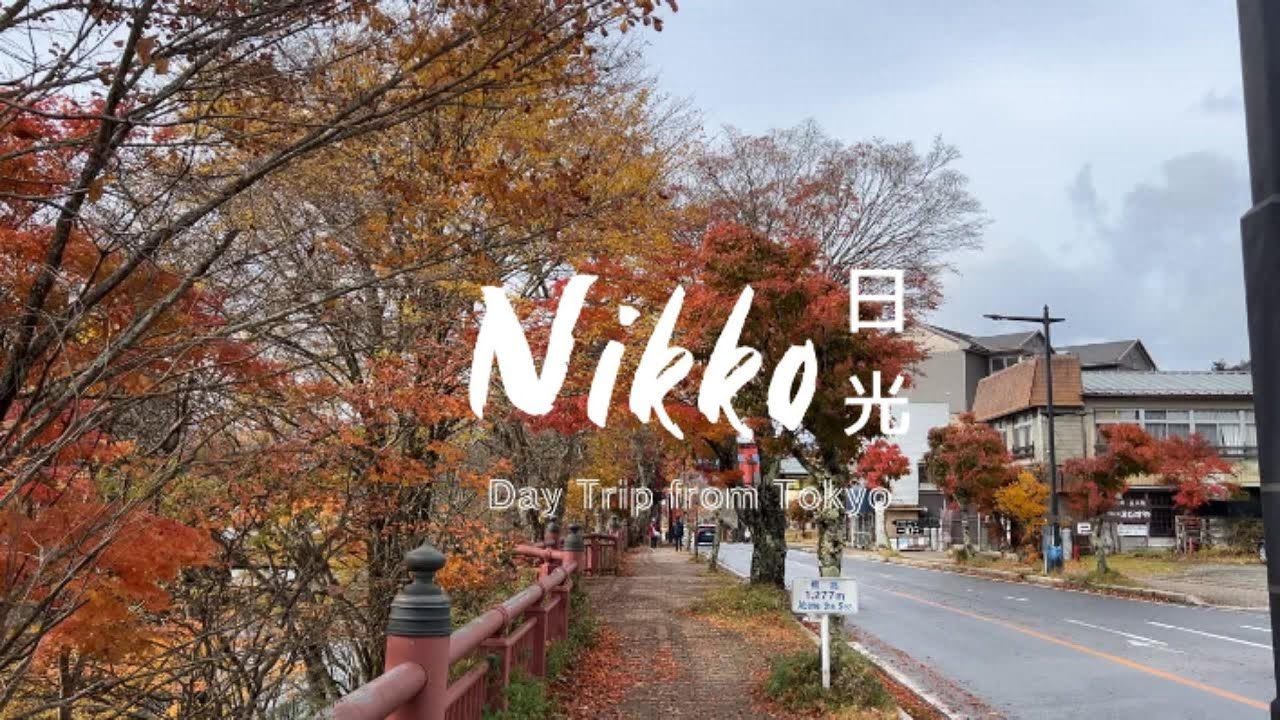 Autumn Escape from Tokyo: Nikko in 12 Hours 🍂