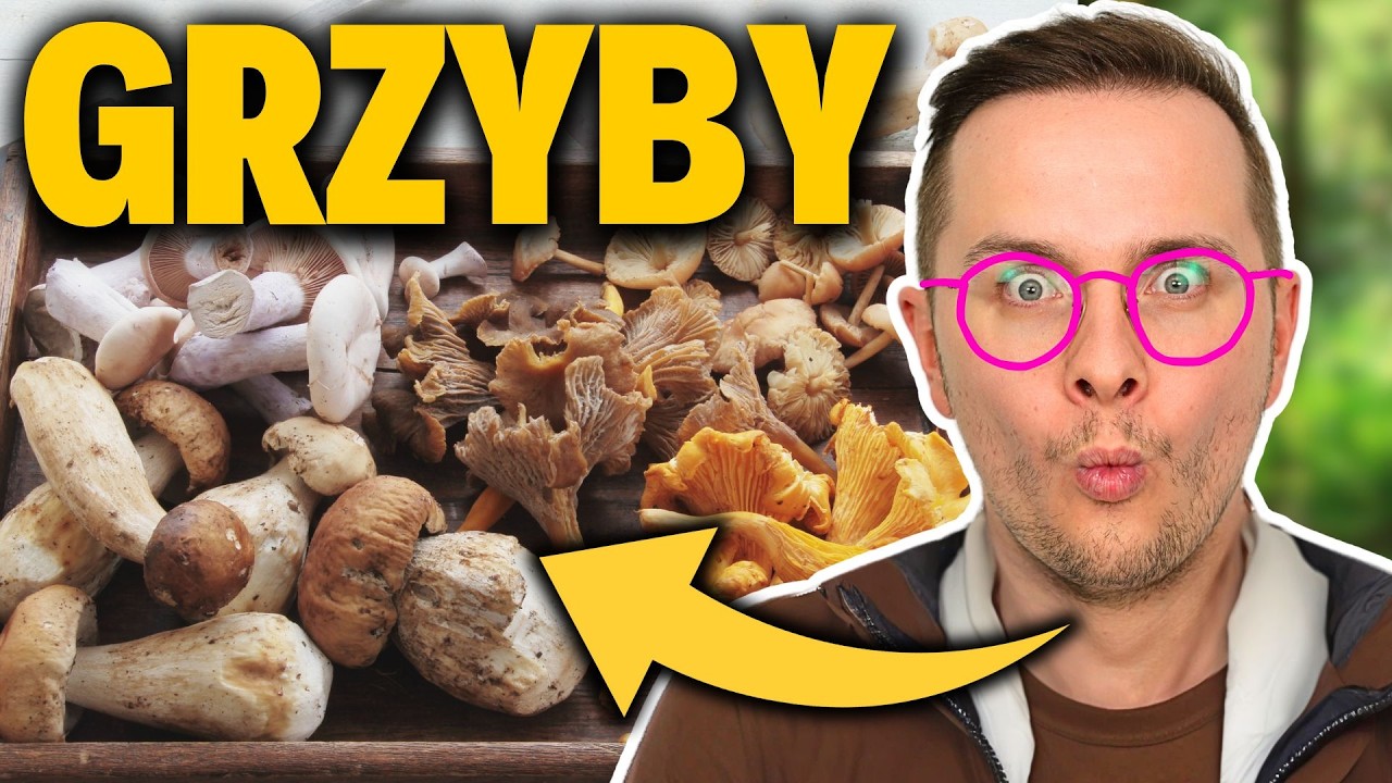 KTÓRY GRZYB JEST NAJLEPSZY - WIELKI TEST GRZYBÓW!