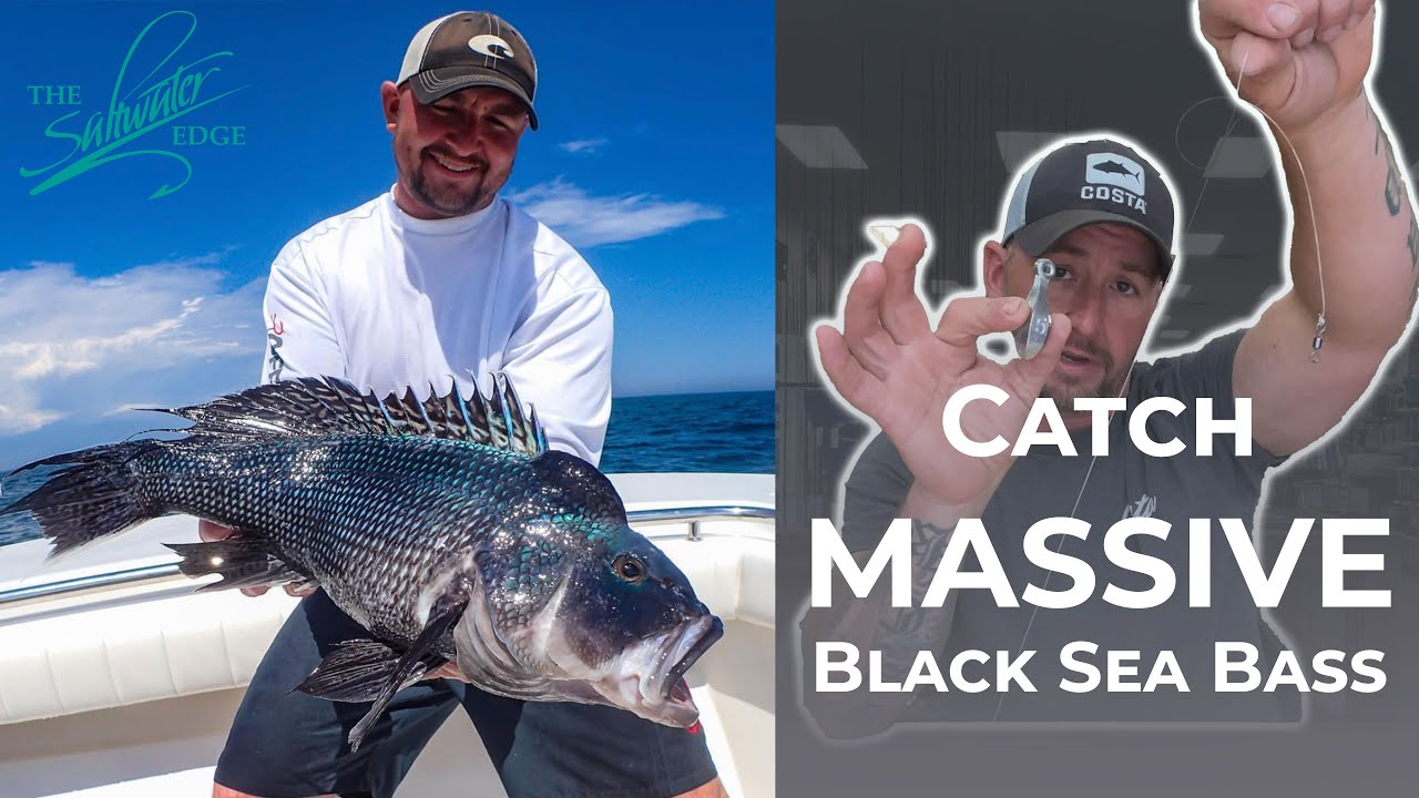 Black Sea Bass Fishing - The Setup to catch your BIGGEST black sea bass. Part 1 of Black Sea Bass
