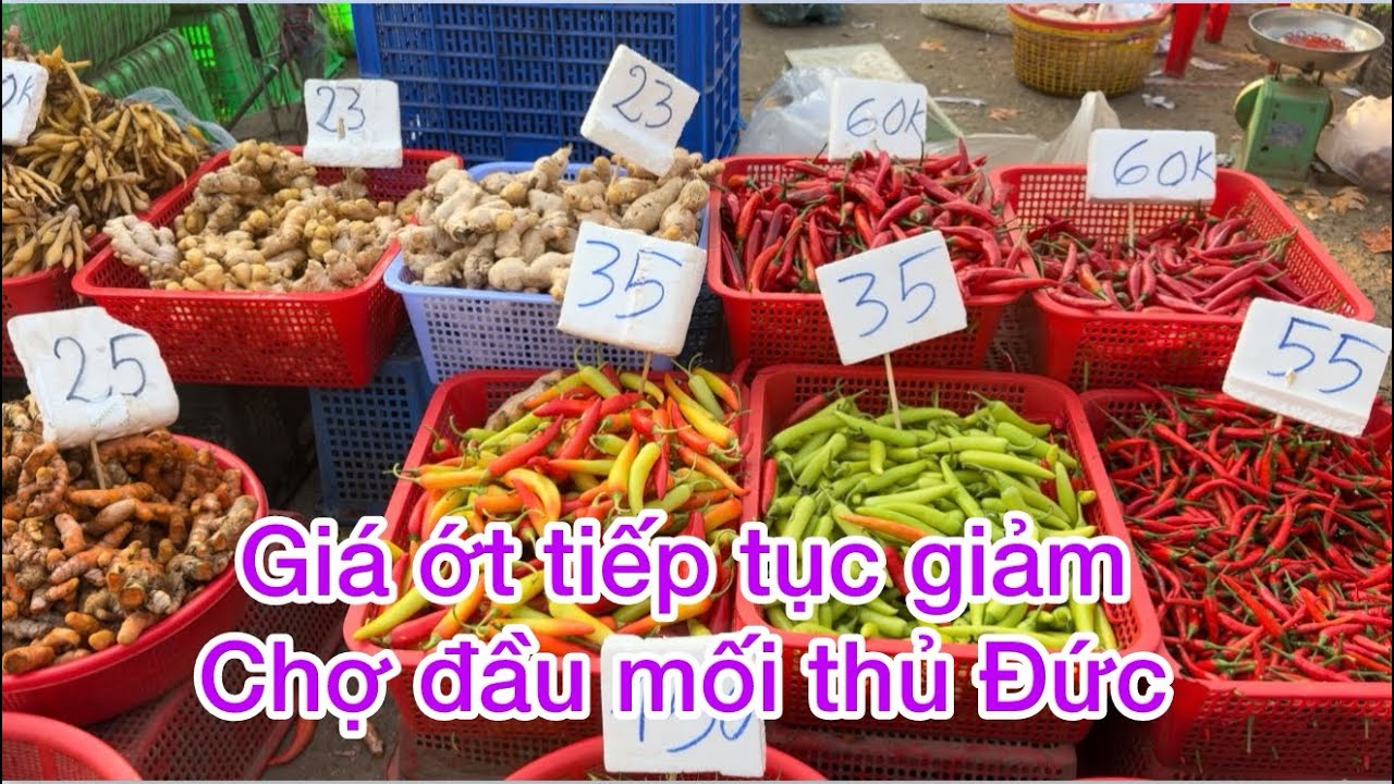 Khu rau chợ đầu mối thủ Đức ngày 28-1 chợ cuối năm giá rẻ bèo 