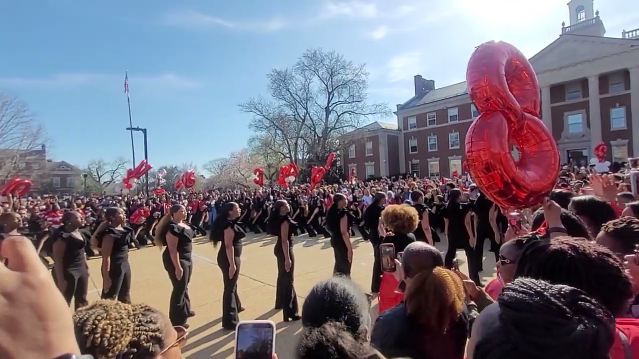 Delta Sigma Theta | Alpha Chapter | Spring 22 Probate (Part 2)