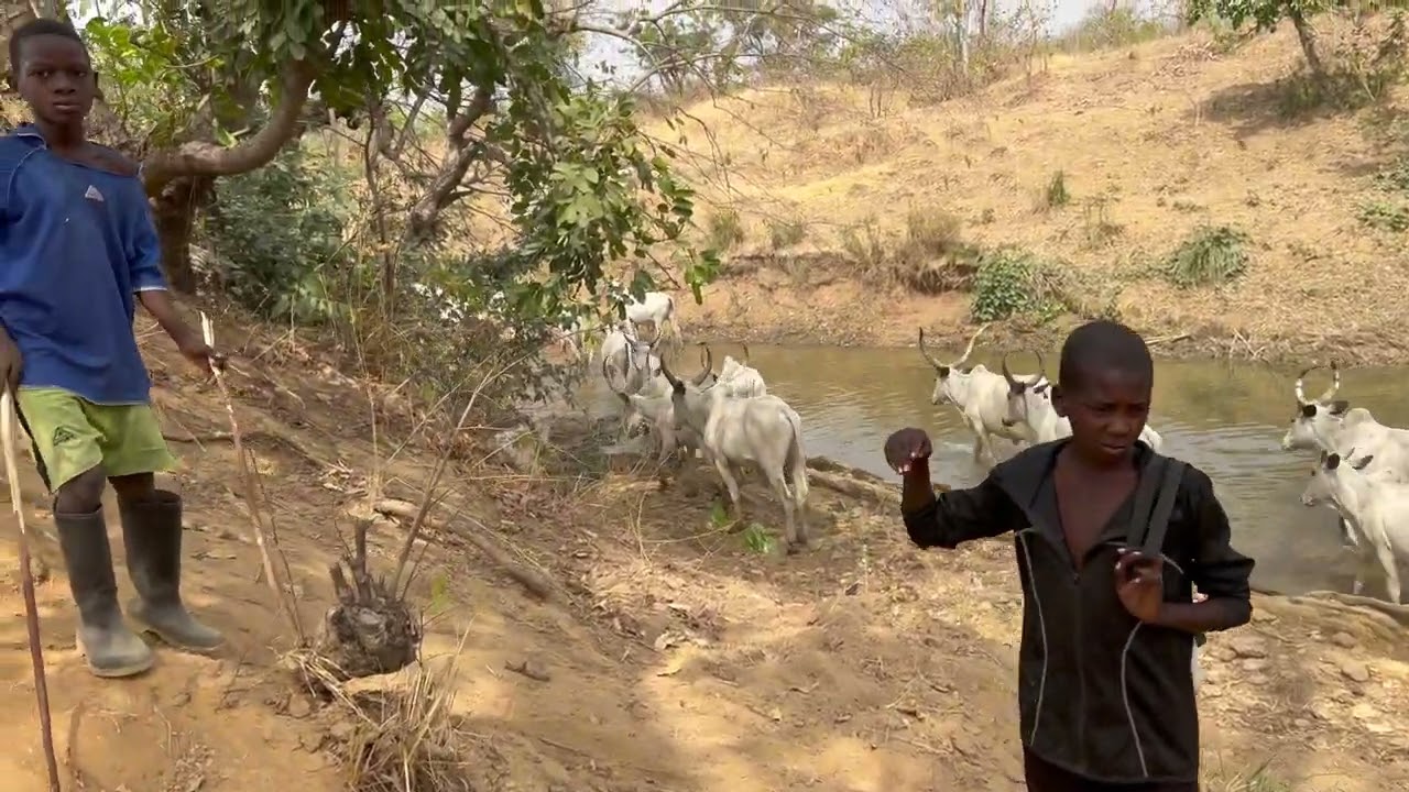 DNPLS   Peuls au Togo