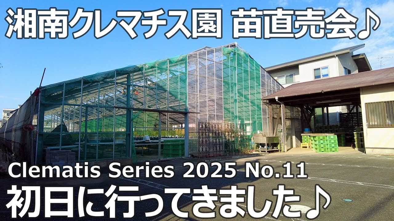 【クレマチスシリーズ 2025 No.11】湘南クレマチス園さん 藤沢農場 直売会 初日に行ってきました♪