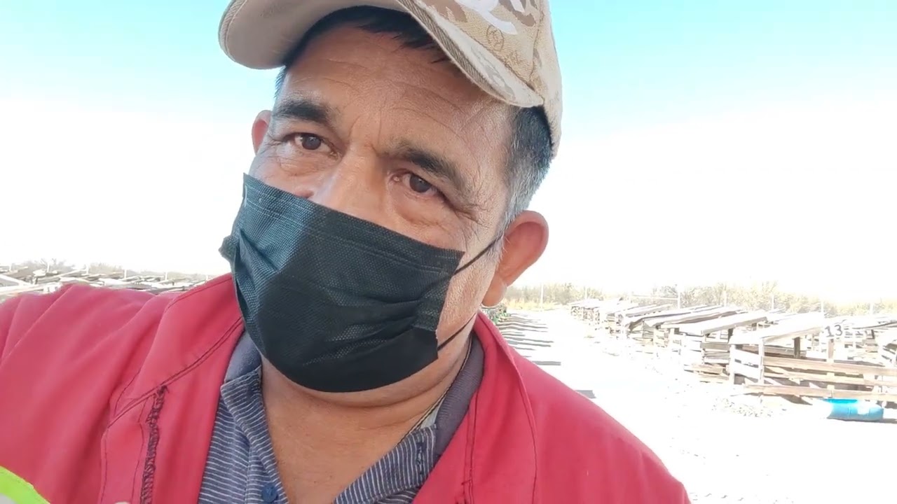 LOS FAMOSOS PILOTOS DE LA JOYA COAH. #VIRAL #reels #historiass 