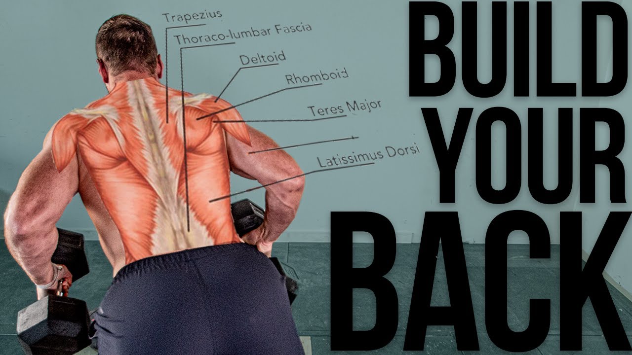 Best Back Exercise - Chest Supported Rows DBs & BB (Form for targeting right muscles)