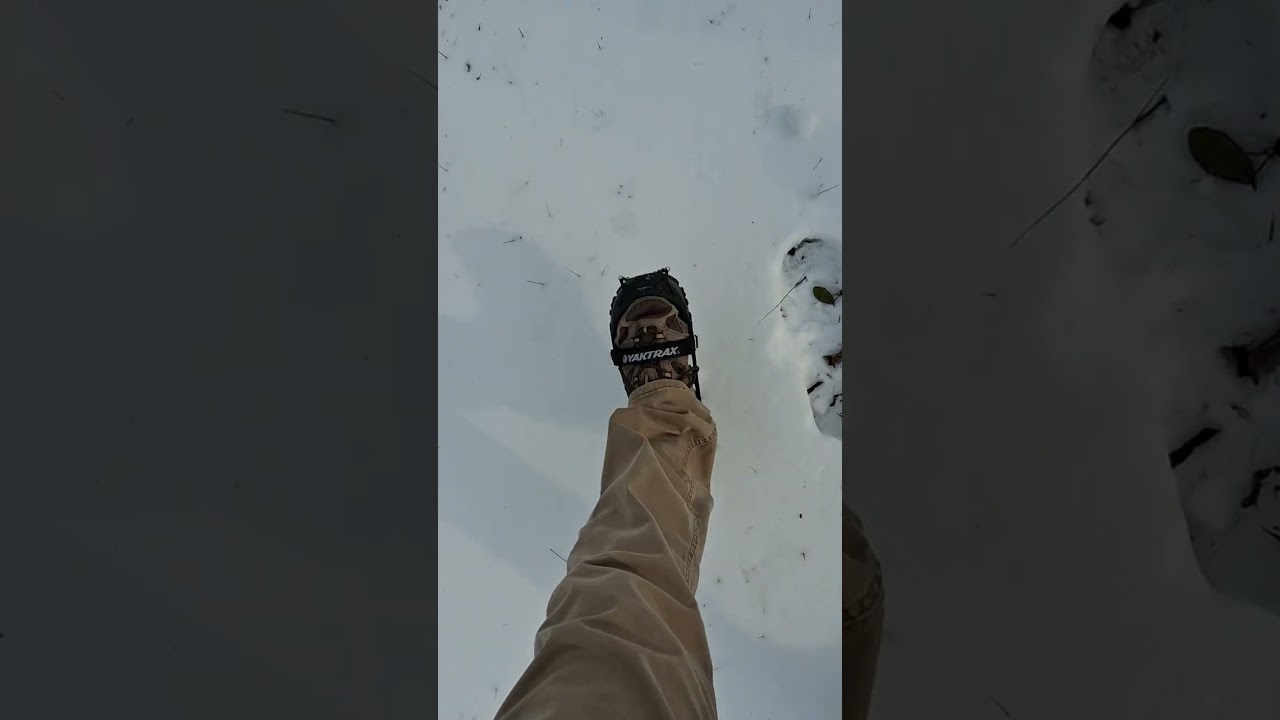 January 30, 2026 Snow/ICE 2