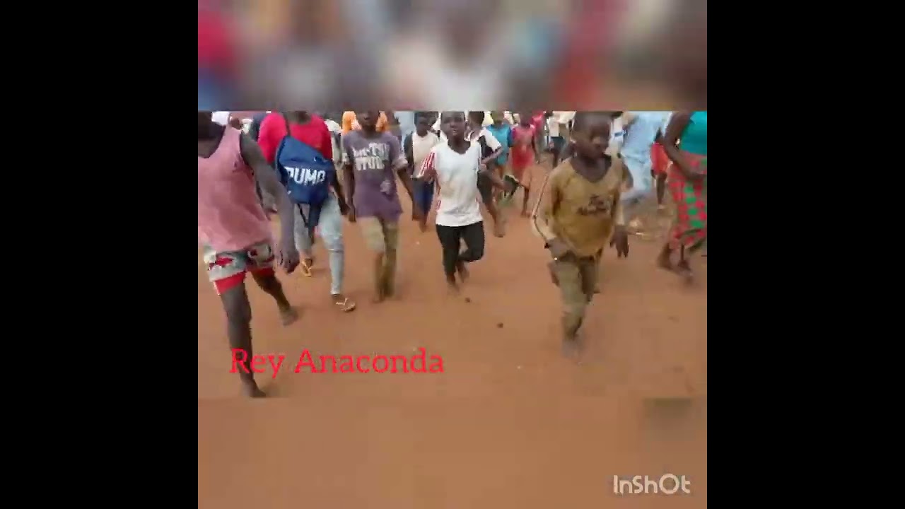 Rey Anaconda--juro não vou vós responder