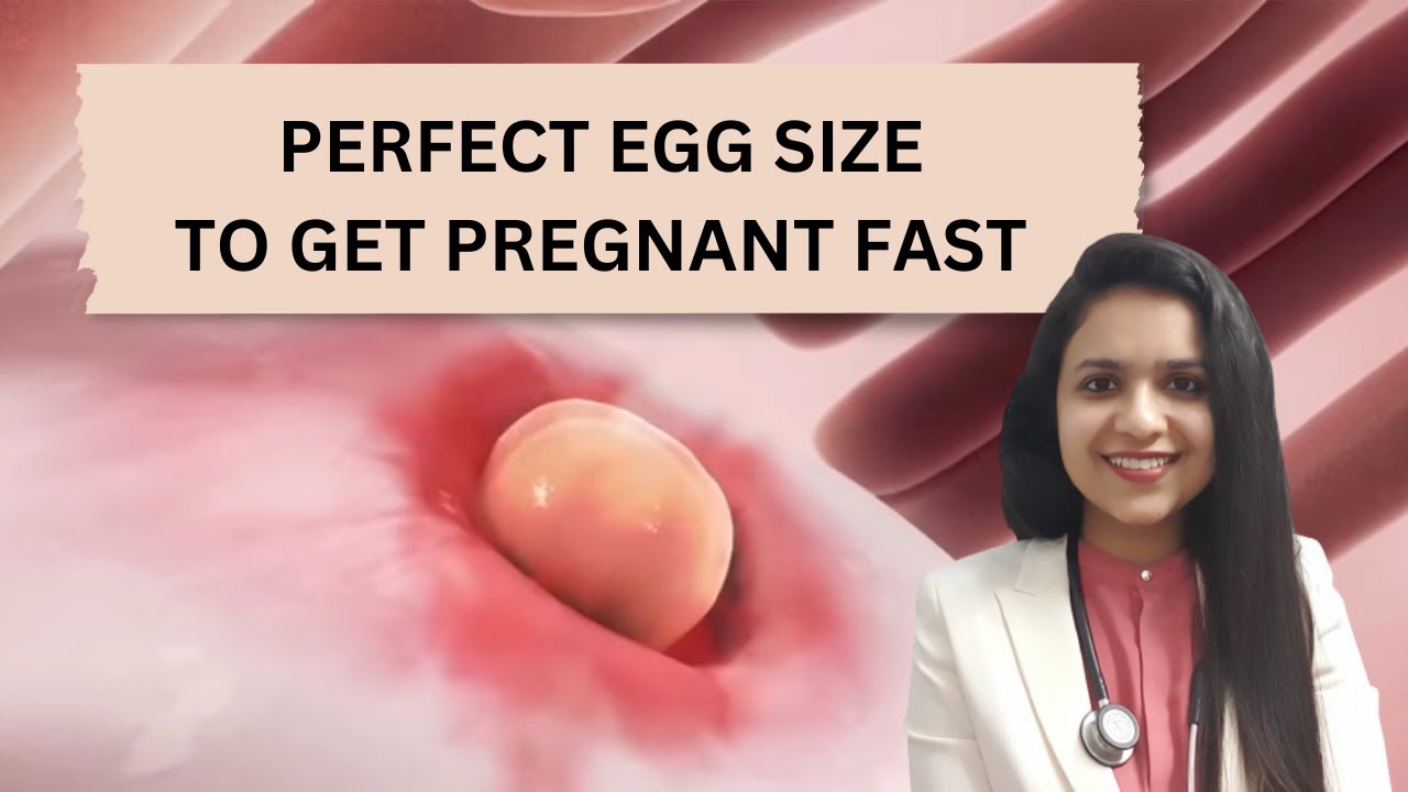 Tracking EGG SIZE for pregnancy to conceive fast | Fertility expert tips to get pregnant fast