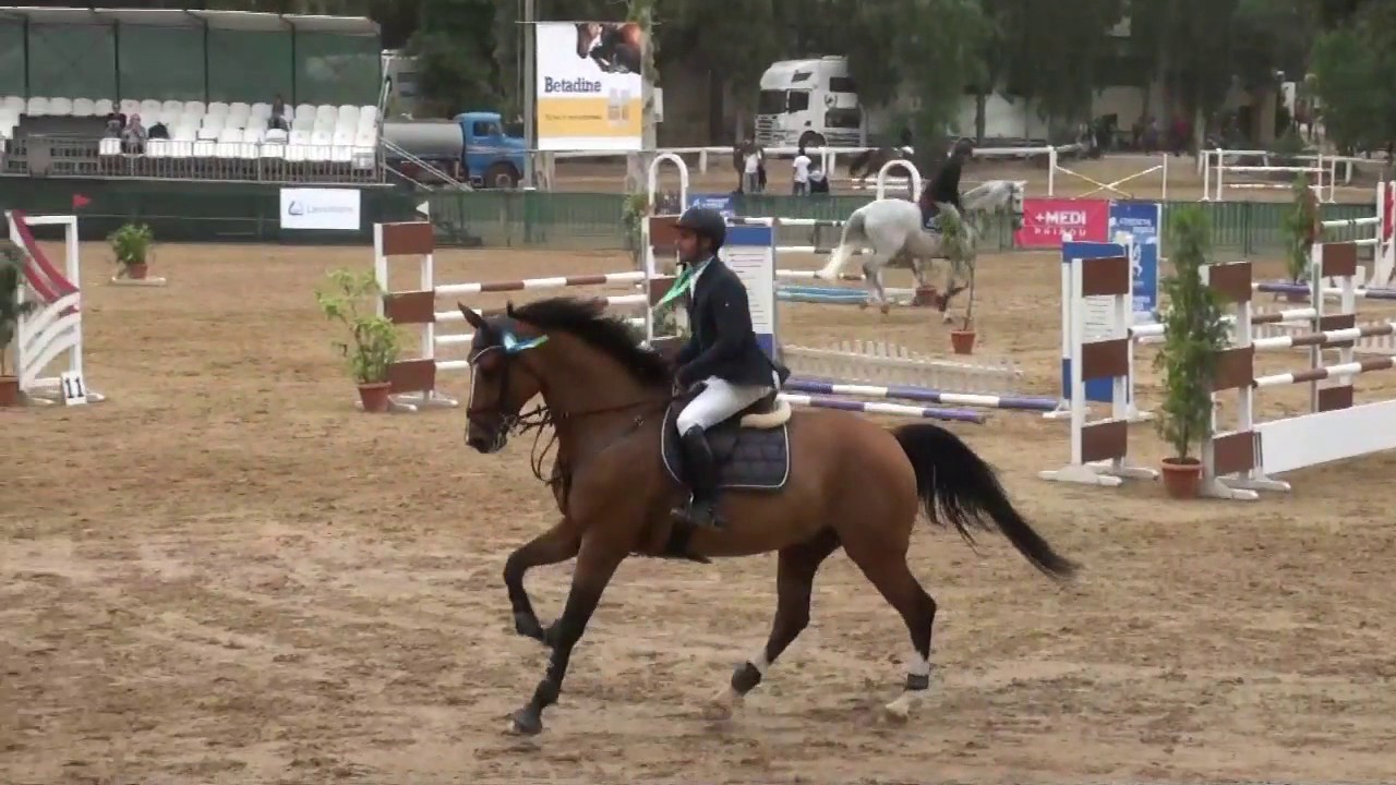 EIO EVENTS 2016