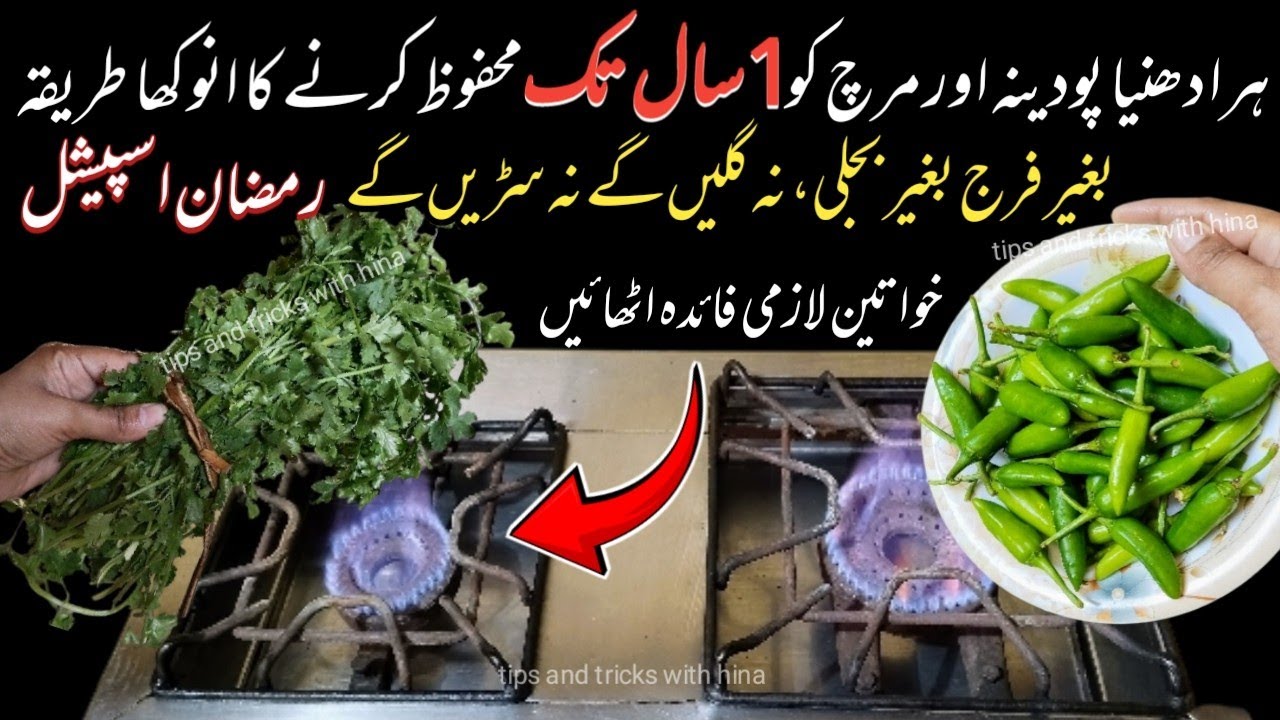 🔴 Smartly Save Your Money And Time With 1 Thing 😱 Hara dhaniya/Pudina/mirch mehfooz karne ka tarika