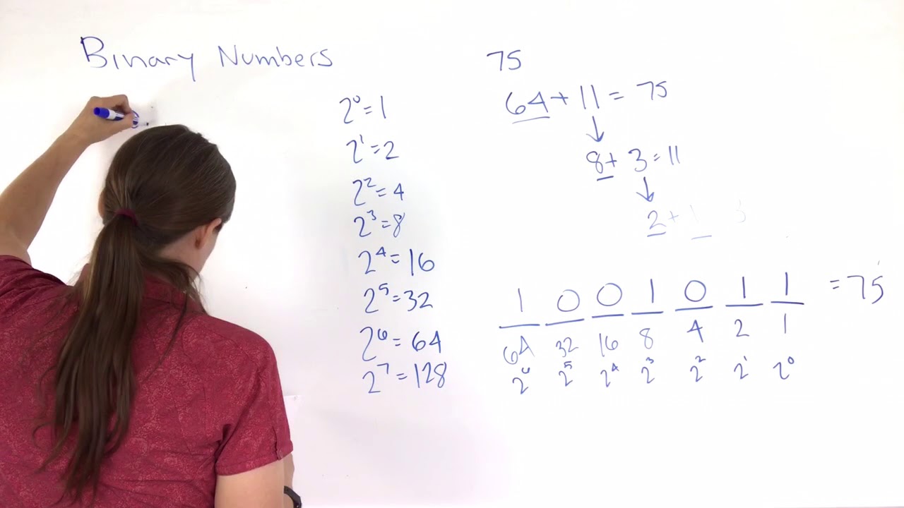 Binary Numbers