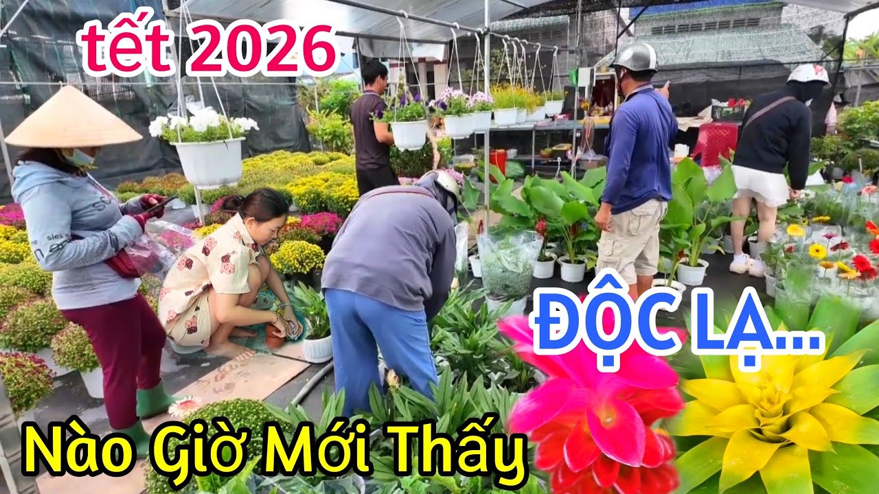 SỐC LÀNG HOA SA ĐÉC TẾT 2026 XUẤT HIỆN NHIỀU LOÀI HOA KỲ LẠ CHƯA TỪNG CÓ