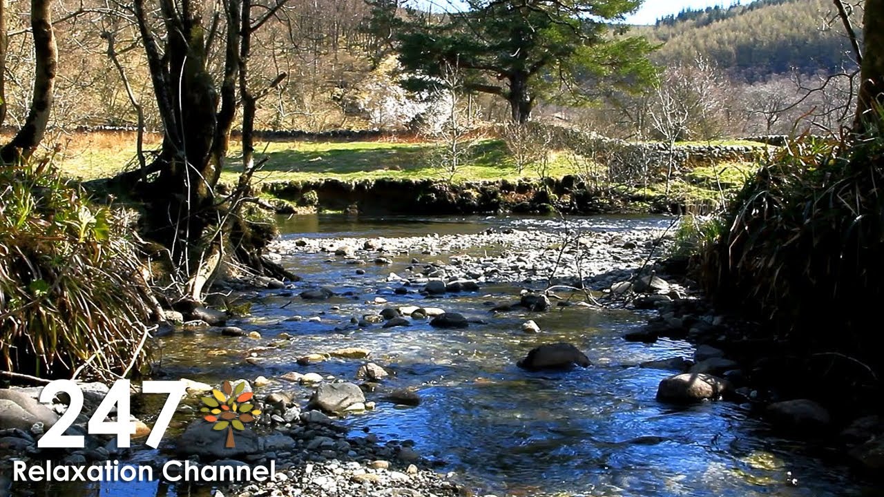 Relaxing Nature Sounds With Gentle Piano Music ( River, Birds Singing )
