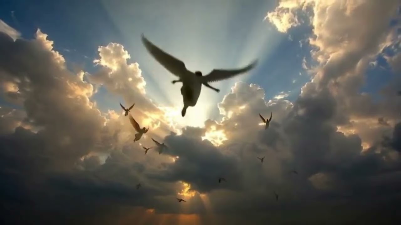 555 Hz Powerful Cherubin Angel Protective Frequencies