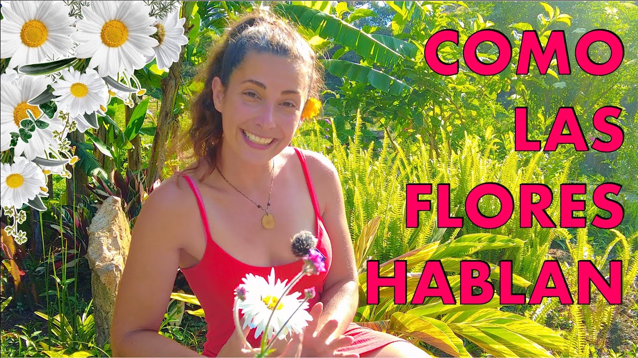 COMUNICACIÓN entre FLORES y POLINIZADORES