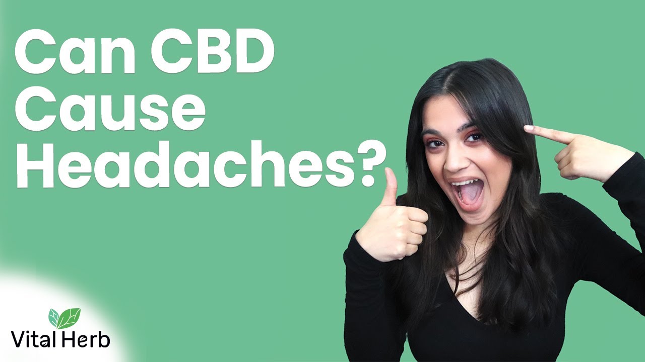 Can CBD Cause Headaches? - [Vital Herb]
