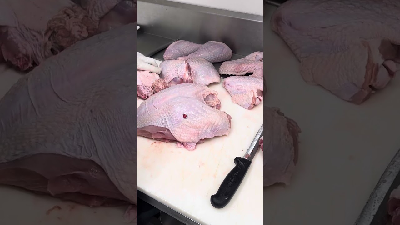 C&oacute;mo cortar un pavo 🦃 o guajolote en 8 partes whole turkey 🦃 cut up