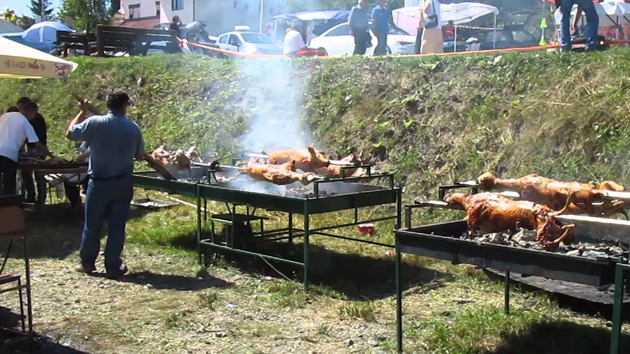 Va&scaron;ar na Pa&scaron;inoj ravni-Debelo brdo