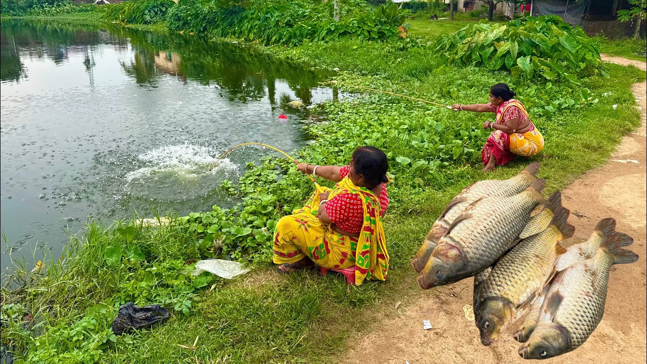 Fishing video || See what fish fisherman caught using different types of bait in the village pond