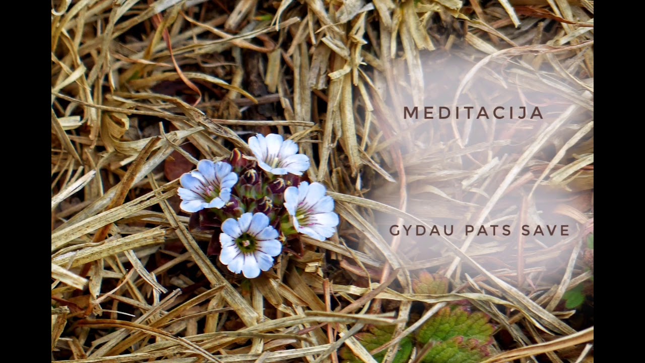 Meditacija "Gydau Pats Save"