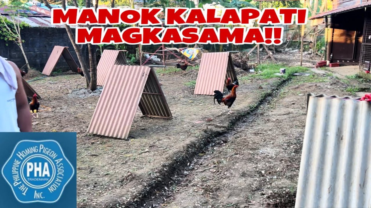 SABUNGERONG KALAPATIDS NANG BARAS RIZAL!!
