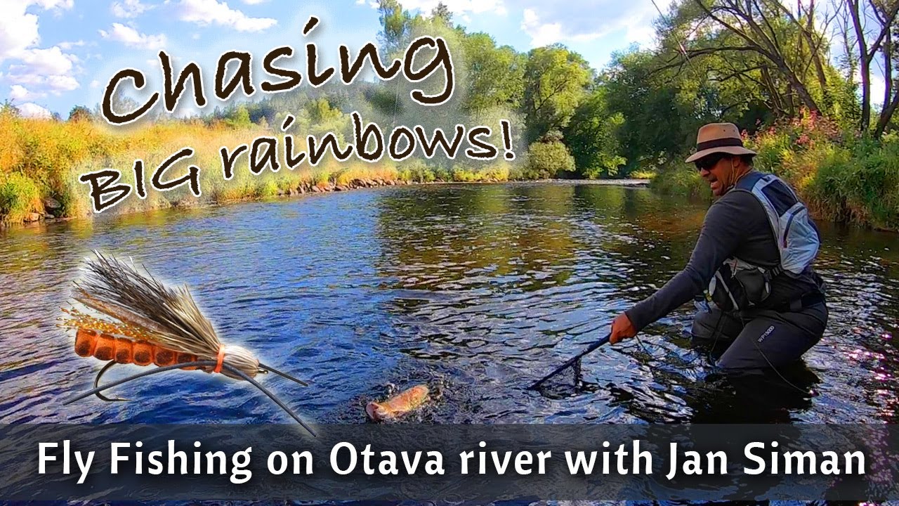 FLY FISHING with dry flies on Otava river in Sumava with Jan Siman. Chasing big rainbow trout