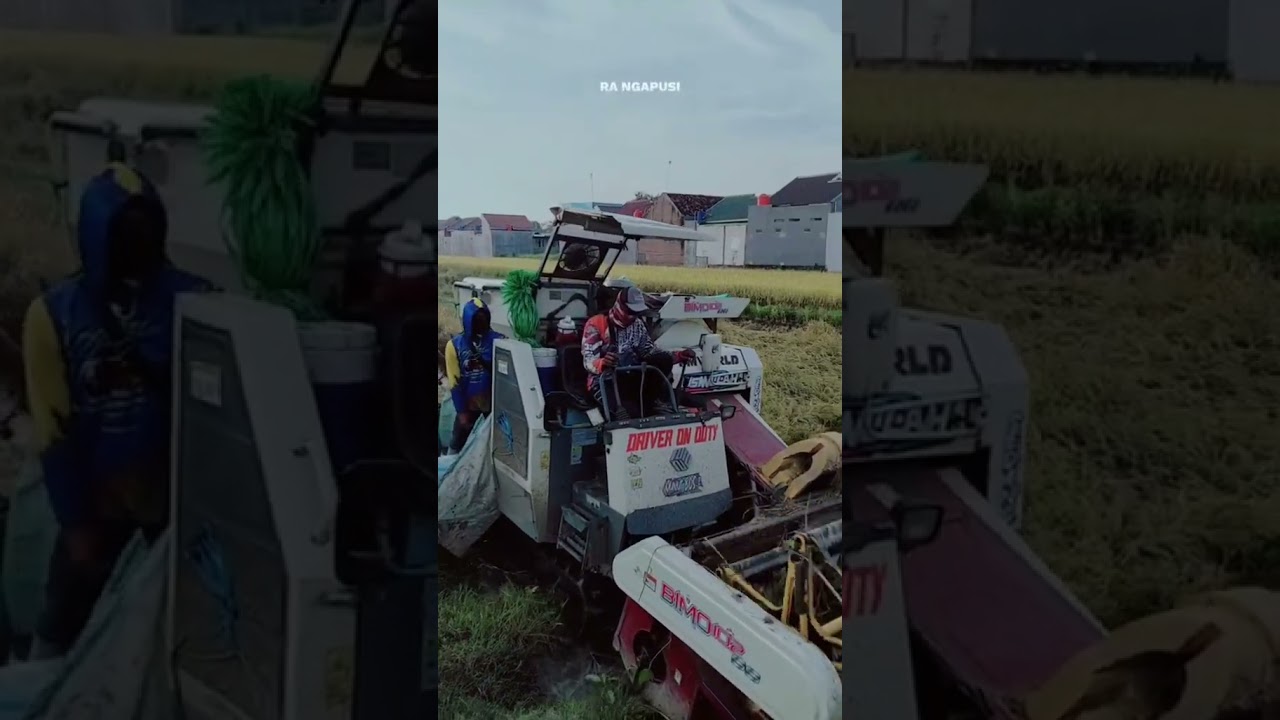 #combineharvester #maxxibimo102standar #farming #maxxibimo #agrikultur #automobile