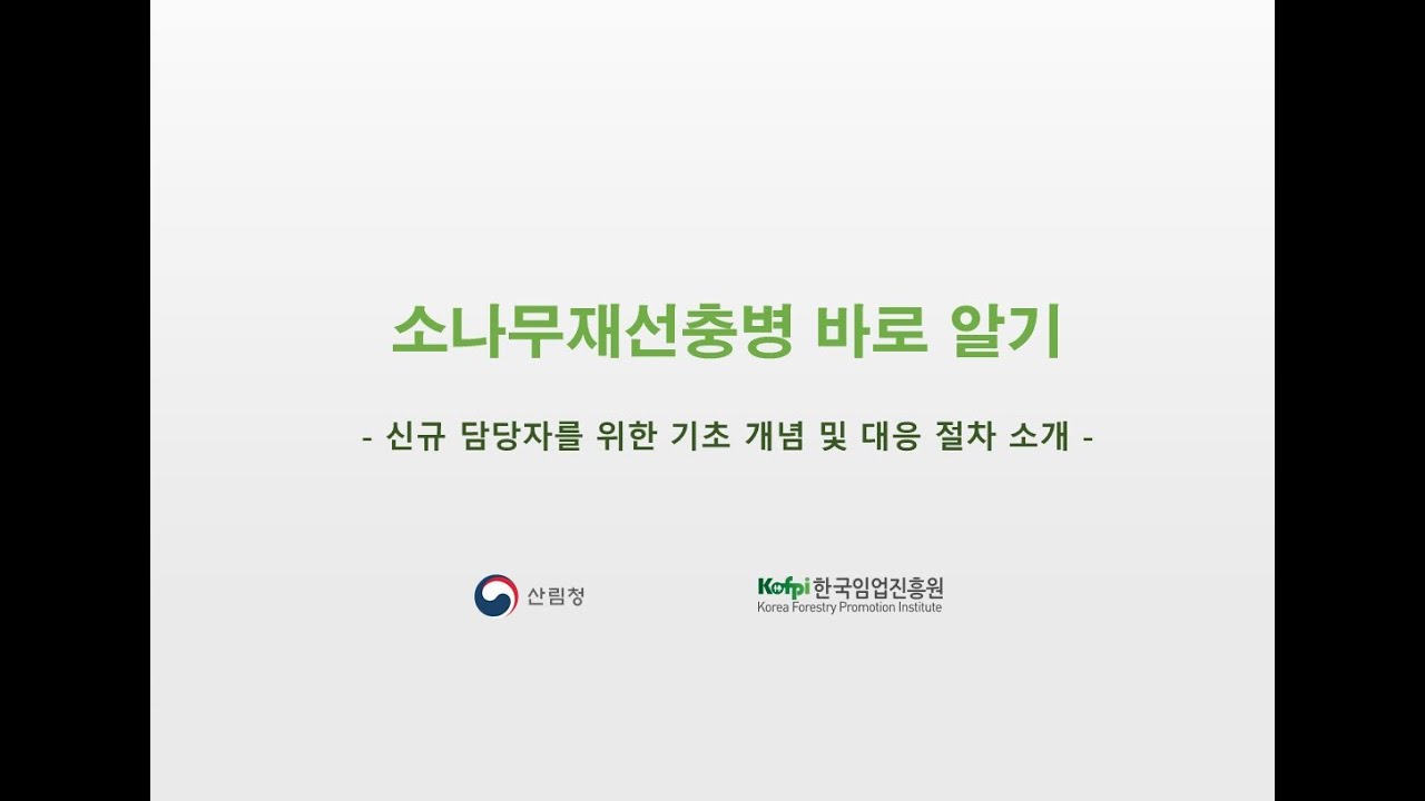 소나무재선충병 바로 알기