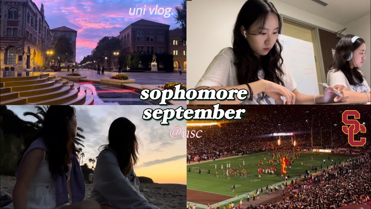 [uni vlog] 가을학기와 낭만 그 사이 어딘가 ep.34