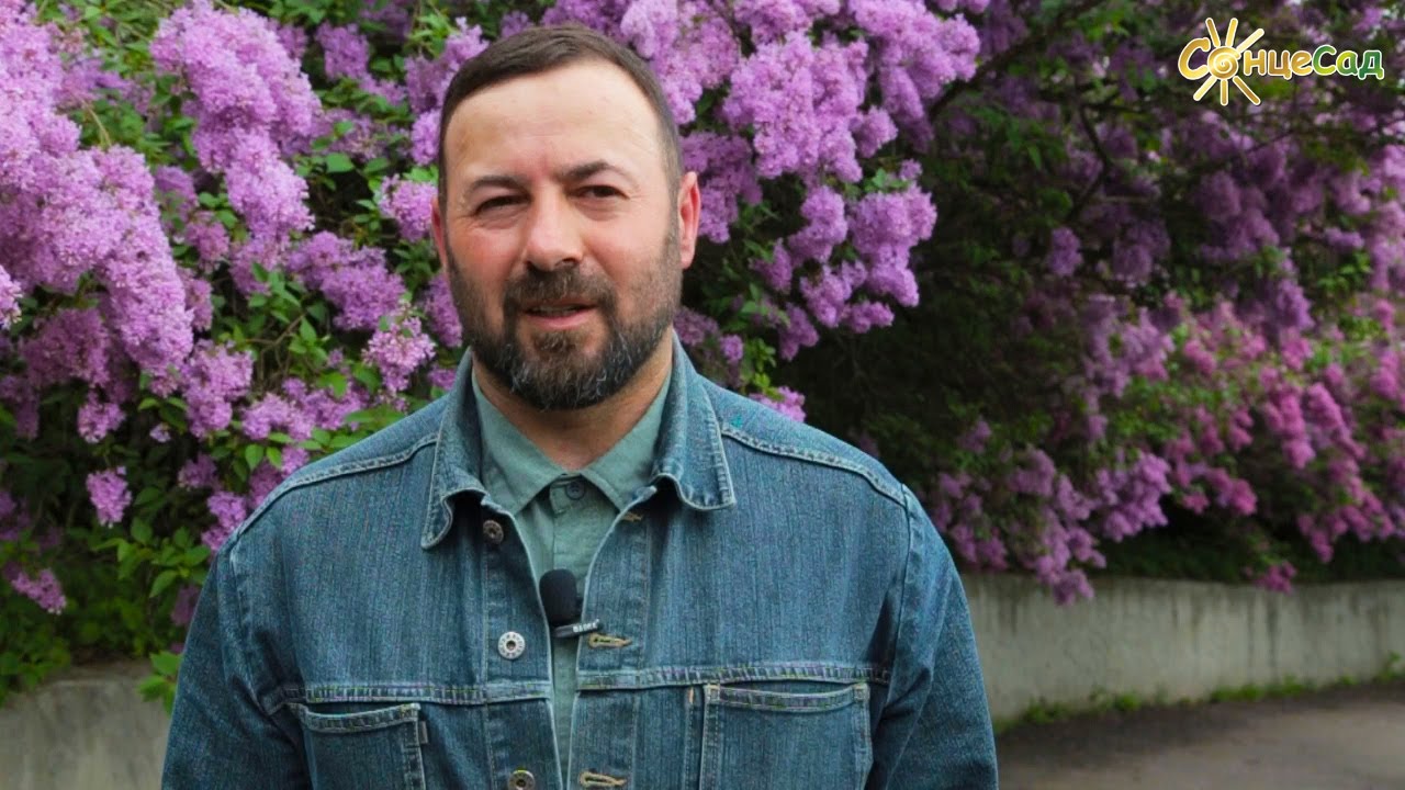 БУЗОК 🌺🌿 Секрети рясного квітування