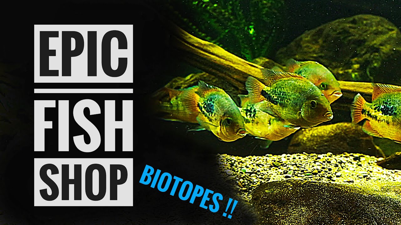 The BEST BIOTOPE specialist SHOP -  Panta Rhei