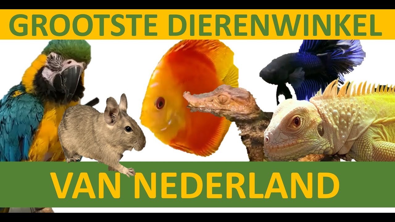 De grootste dierenwinkel van Nederland