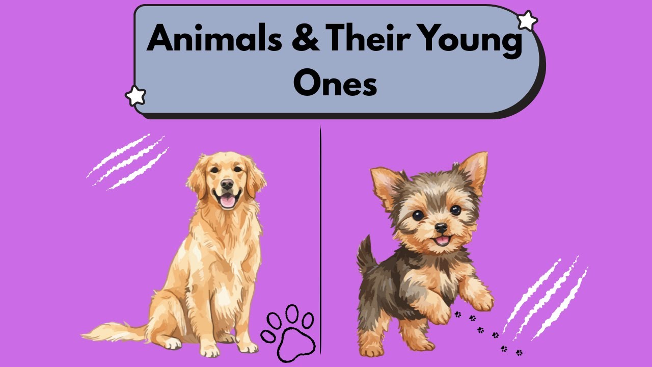 Animals and Their Babies 🐶🐱 | Baby Animal Names for Kids 👶 | Baby Voice Wonders