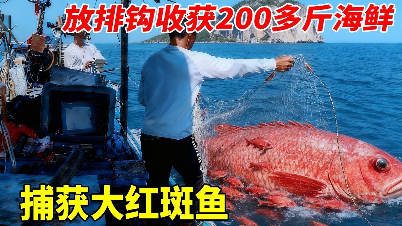 出海放排钩收获200多斤海鲜，还有5条大红斑，这样能卖多少钱？