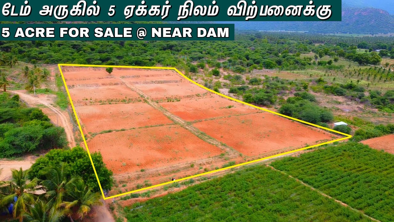 5 ACRE FOR SALE | டேம் அருகில் 5 ஏக்கர் நிலம் விற்பனைக்கு#agriculture #realestate #lowbudget #land