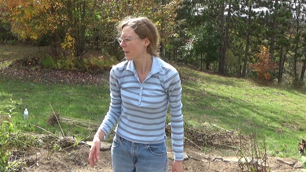 Digging Up Daffodil Bulbs For Transplanting, How To Divide Your Daffodil Bulbs