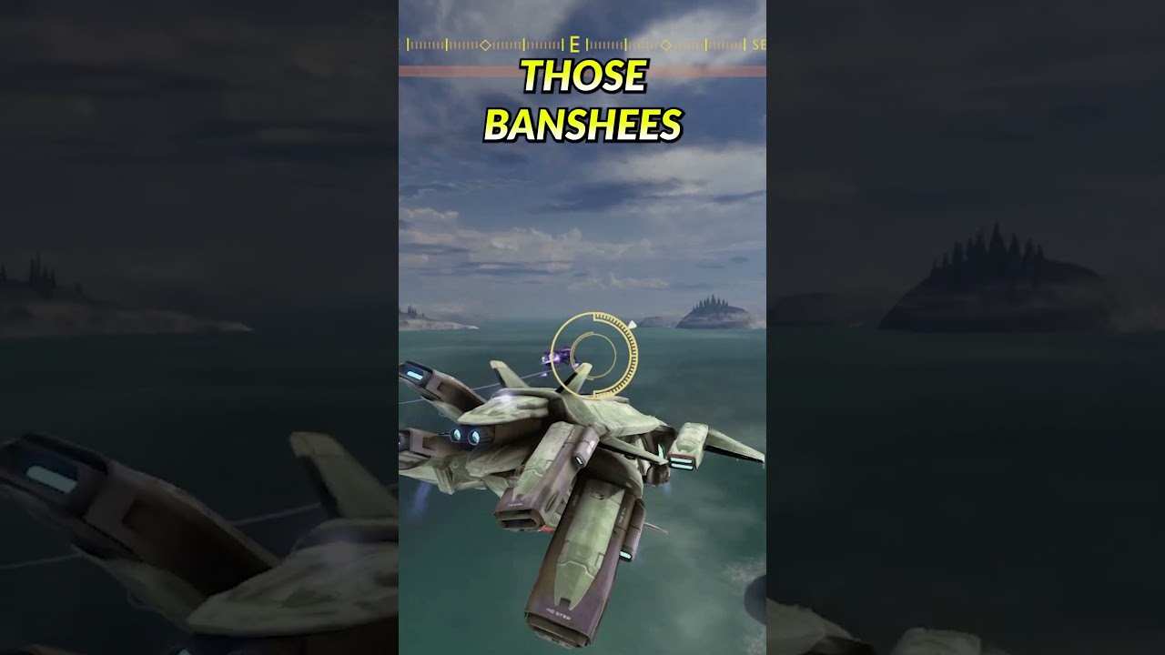 This Mod Lets You Fly A Condor In Halo 3