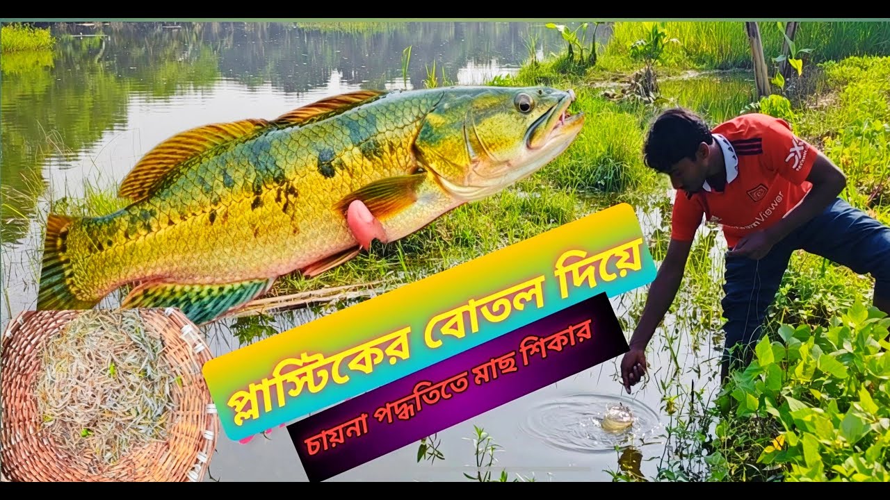 প্লাস্টিকের বোতল দিয়ে চাইনা পদ্ধতিতে মাছ ধরা Chinese Fishing Trap Technique  Rea Village Fishing