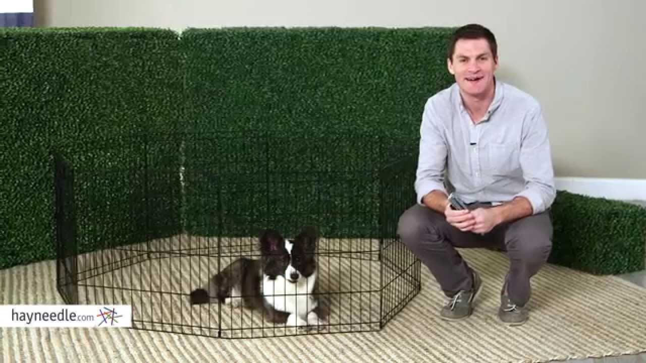 Midwest Black Exercise Pen without Door - Product Review Video