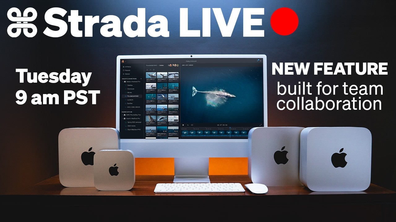 STRADA LIVE: New feature built for team collaboration